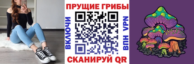 кракен сайт Черепаново Галлюциногенные грибы Magic Shrooms